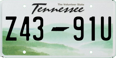 TN license plate Z4391U