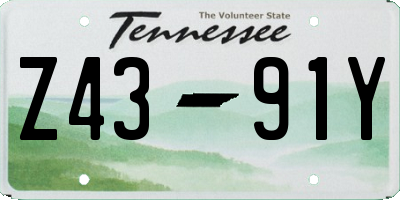 TN license plate Z4391Y