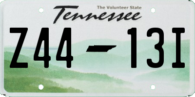 TN license plate Z4413I