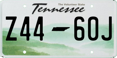 TN license plate Z4460J