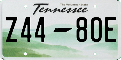 TN license plate Z4480E