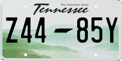 TN license plate Z4485Y