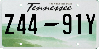 TN license plate Z4491Y