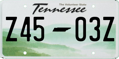 TN license plate Z4503Z
