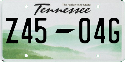 TN license plate Z4504G
