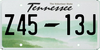 TN license plate Z4513J