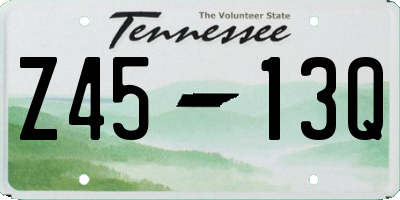 TN license plate Z4513Q
