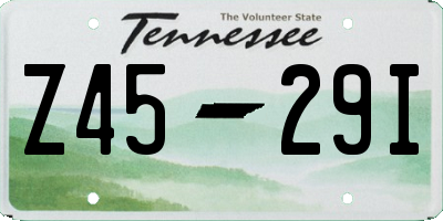 TN license plate Z4529I