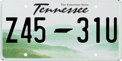 TN license plate Z4531U