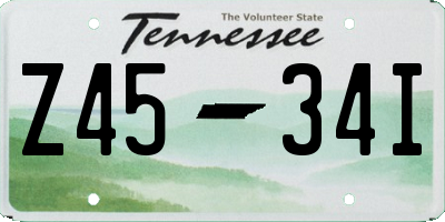 TN license plate Z4534I