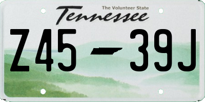 TN license plate Z4539J