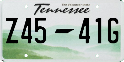 TN license plate Z4541G