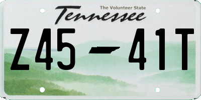 TN license plate Z4541T