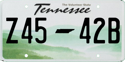 TN license plate Z4542B