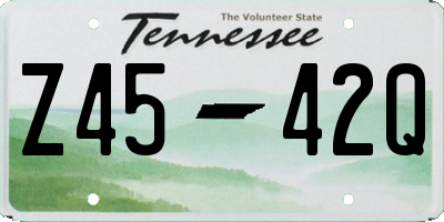TN license plate Z4542Q