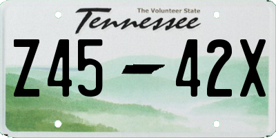 TN license plate Z4542X