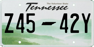 TN license plate Z4542Y