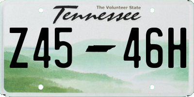 TN license plate Z4546H