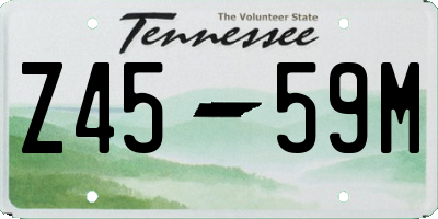 TN license plate Z4559M