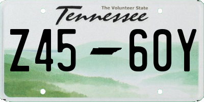 TN license plate Z4560Y