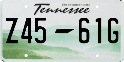 TN license plate Z4561G