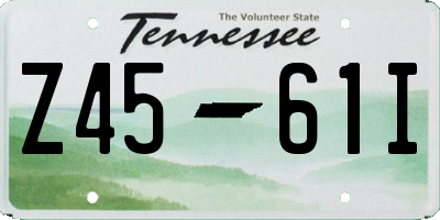 TN license plate Z4561I