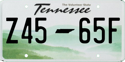 TN license plate Z4565F