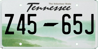 TN license plate Z4565J