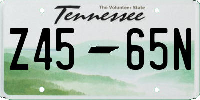 TN license plate Z4565N
