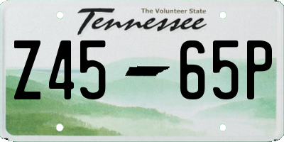 TN license plate Z4565P