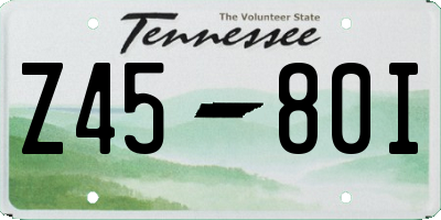 TN license plate Z4580I