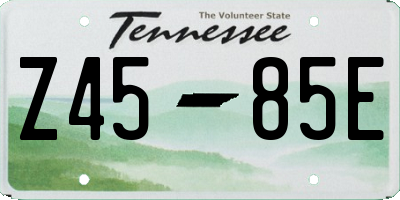 TN license plate Z4585E