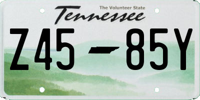 TN license plate Z4585Y