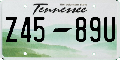 TN license plate Z4589U