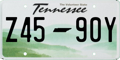 TN license plate Z4590Y