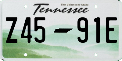 TN license plate Z4591E