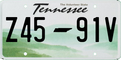 TN license plate Z4591V