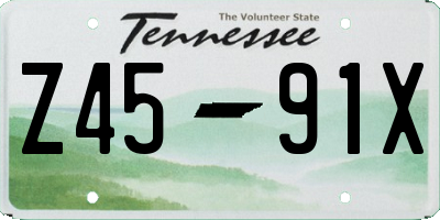 TN license plate Z4591X