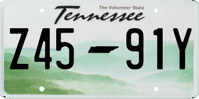 TN license plate Z4591Y