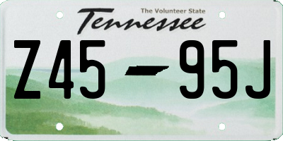 TN license plate Z4595J