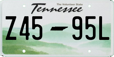 TN license plate Z4595L