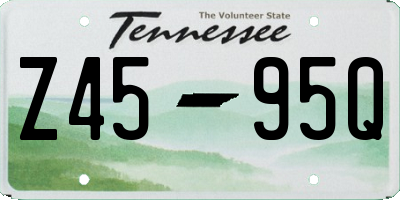 TN license plate Z4595Q