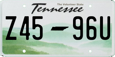 TN license plate Z4596U