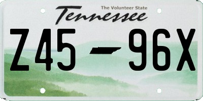 TN license plate Z4596X