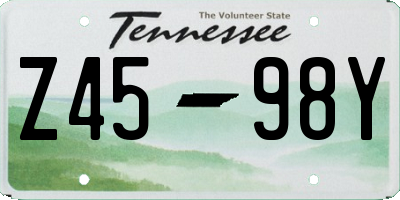 TN license plate Z4598Y