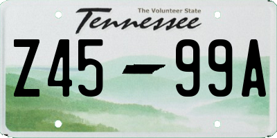 TN license plate Z4599A