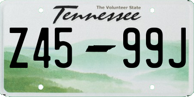 TN license plate Z4599J