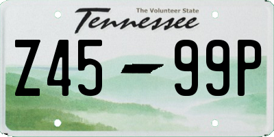 TN license plate Z4599P