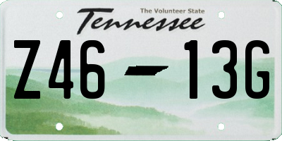 TN license plate Z4613G