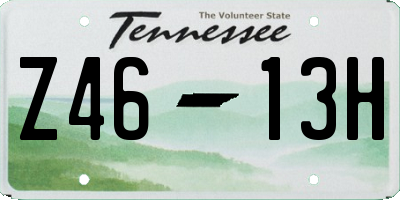 TN license plate Z4613H
